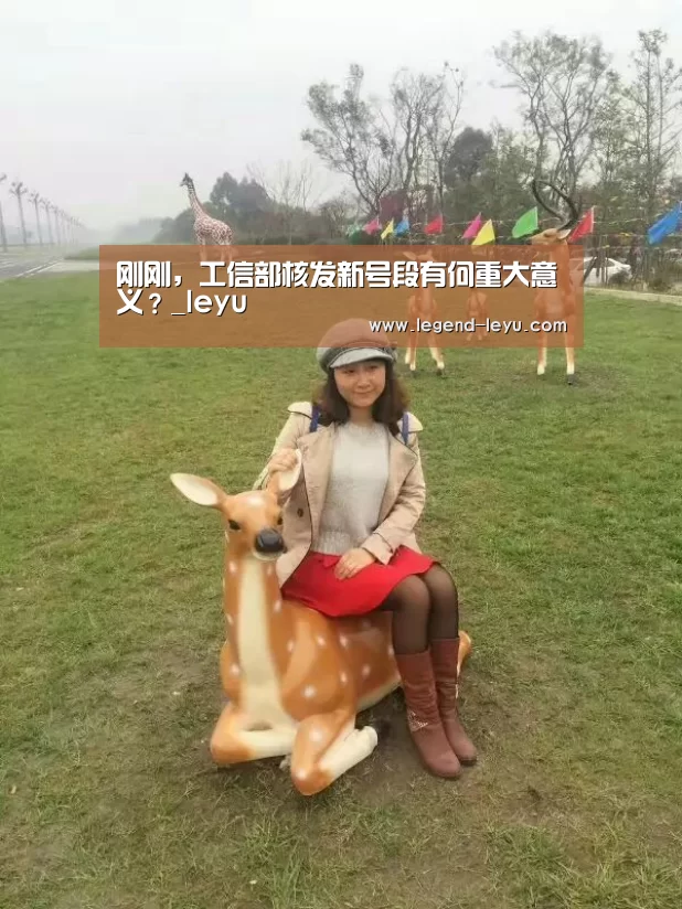 刚刚,工信部核发新号段有何重大意义?_leyu(图3) 乐鱼