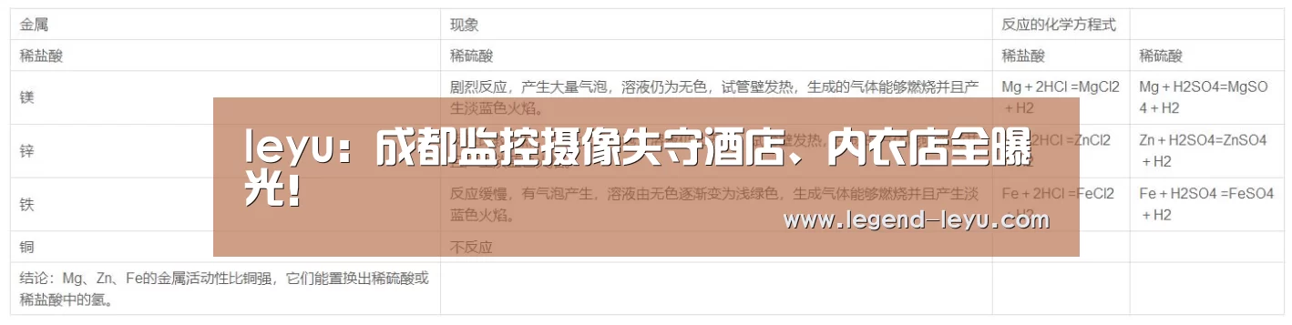 乐鱼